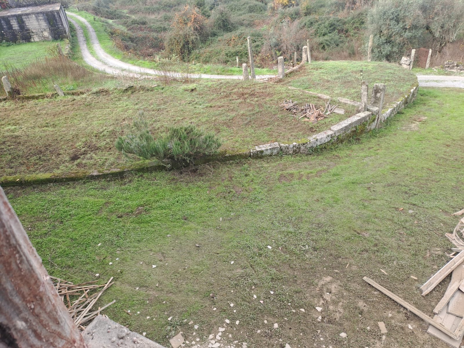 Looking out over the yard, with a debris pile forming near the stone wall